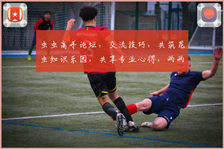 虫虫高手论坛，交流技巧，共筑昆虫知识乐园，共享专业心得，两两共鸣