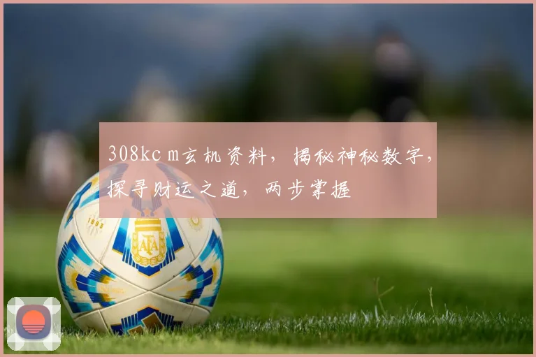 308kc m玄机资料，揭秘神秘数字，探寻财运之道，两步掌握